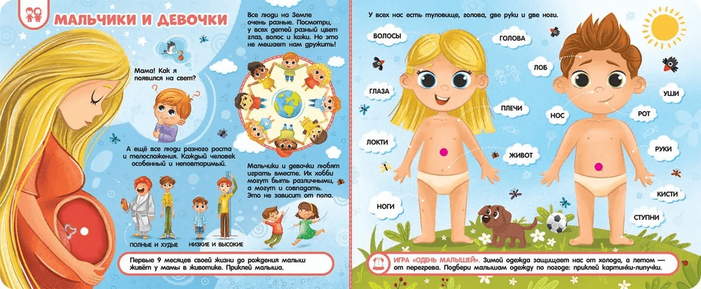 Тело человека. Книга с липучками