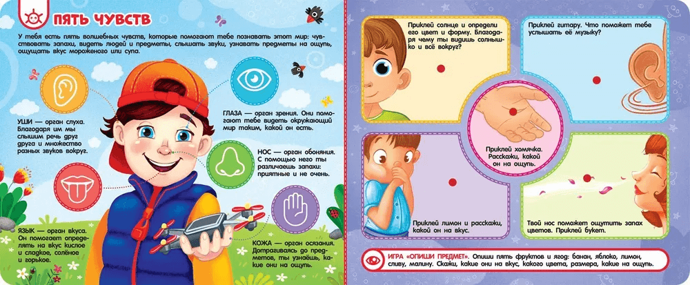 Тело человека. Книга с липучками