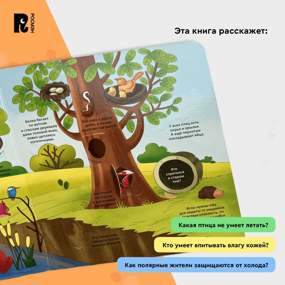 Животные. Энциклопедия с окошками