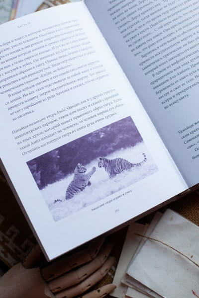 Мифы Дальнего Востока. От хозяина тайги Дуэнте и шаманки Кытны до духов вулканов и мухоморных девушек