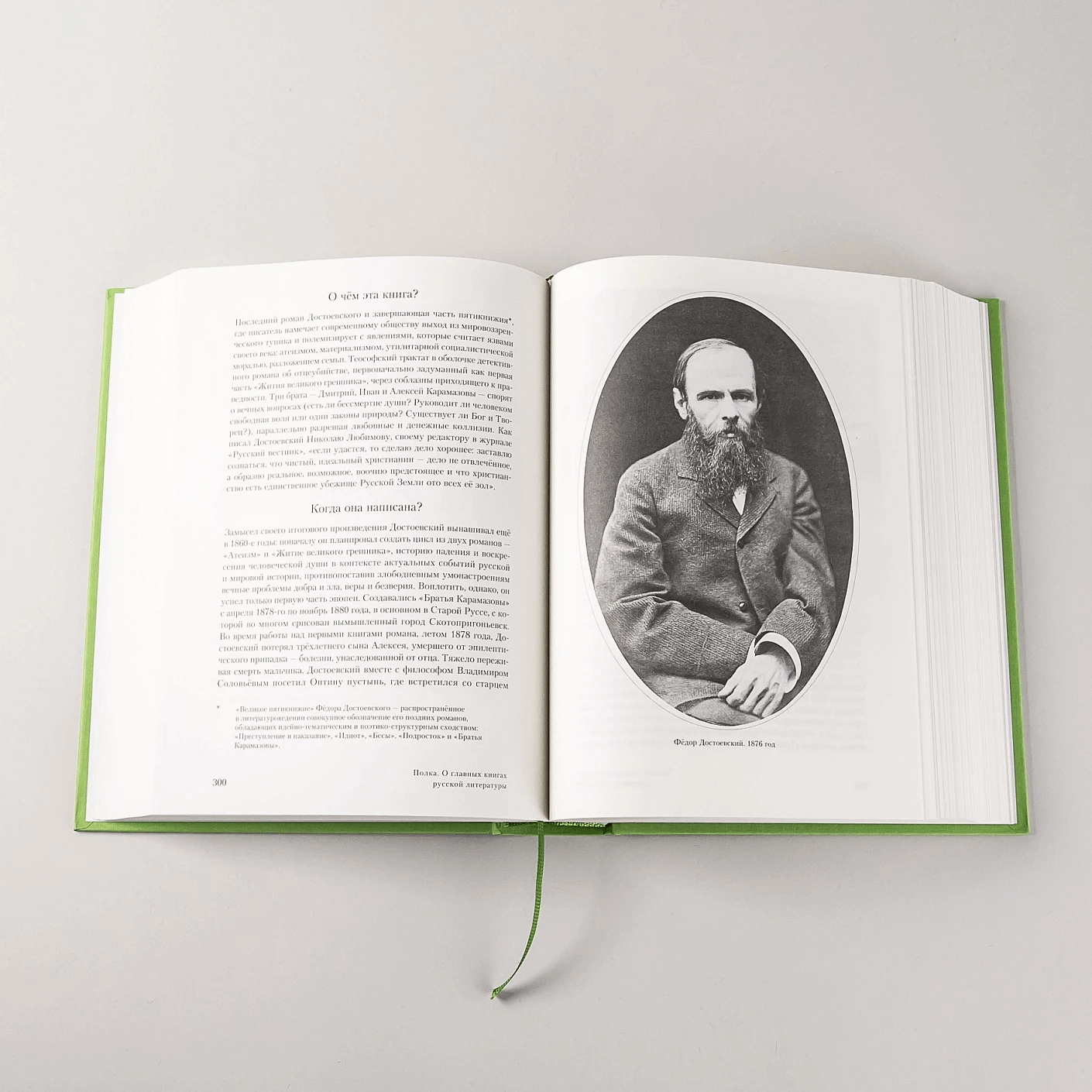 Полка: О главных книгах русской литературы (тома 1,2)