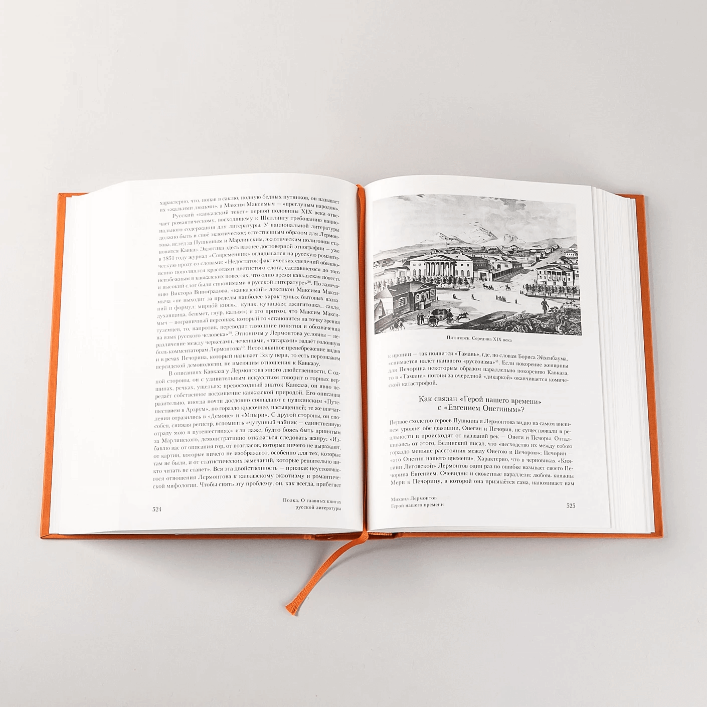 Полка: О главных книгах русской литературы (тома 1,2)