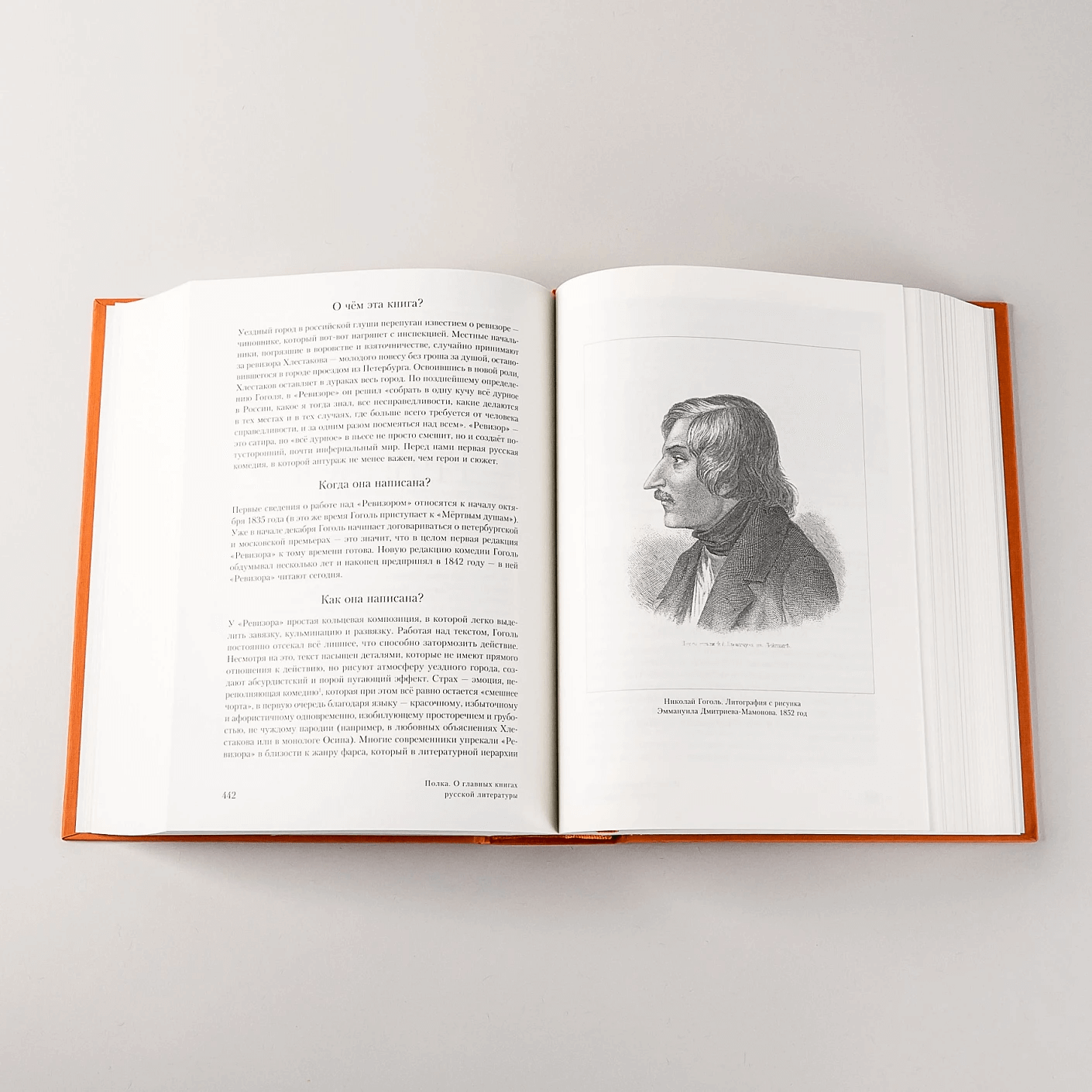 Полка: О главных книгах русской литературы (тома 1,2)