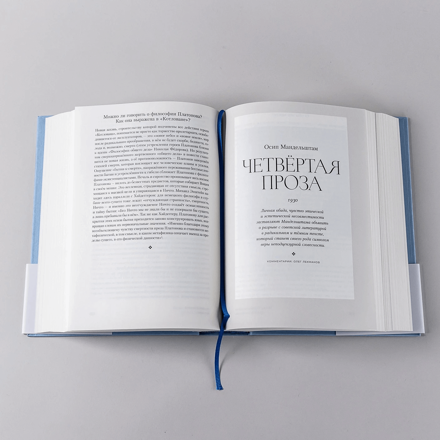 Полка: О главных книгах русской литературы (тома 3,4)