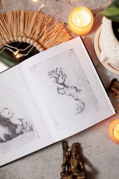 Большая Панда и Маленький Дракон: медитативная история