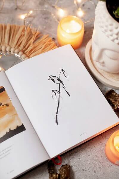 Большая Панда и Маленький Дракон: медитативная история