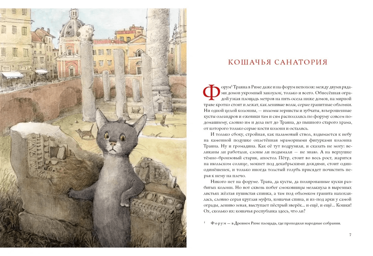 Кошачья санатория. Рассказы и стихи