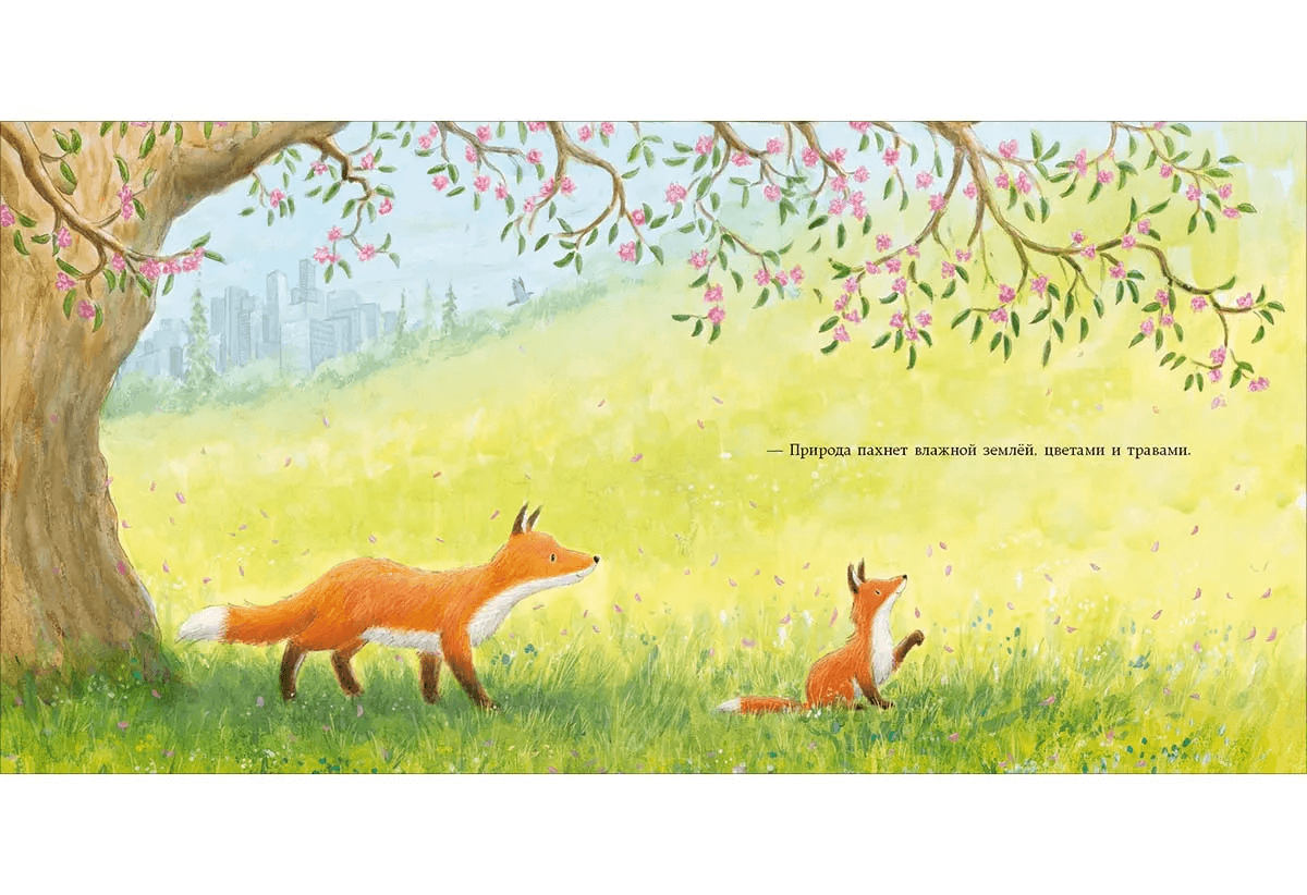 Лисёнок в городе