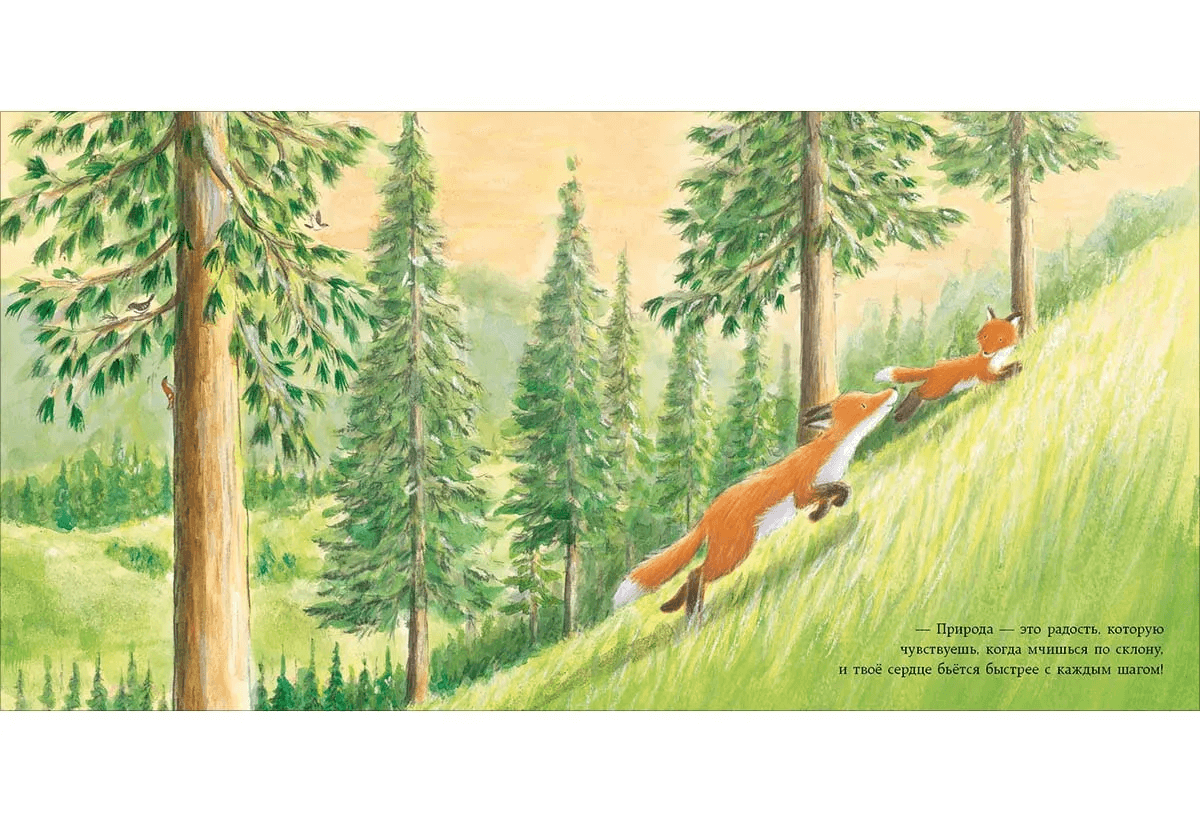 Лисёнок в городе