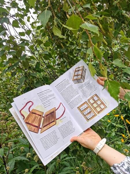 Мой гербарий. Листья деревьев