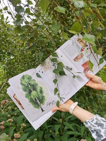 Мой гербарий. Листья деревьев