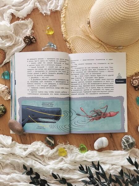 Океаны и моря. Детская энциклопедия