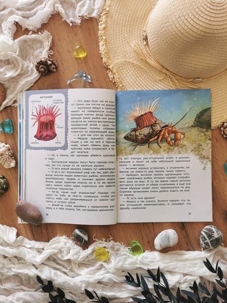 Океаны и моря. Детская энциклопедия