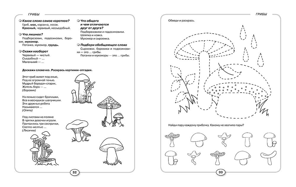 Развитие речи и познавательных способностей дошкольника. 4-5 лет