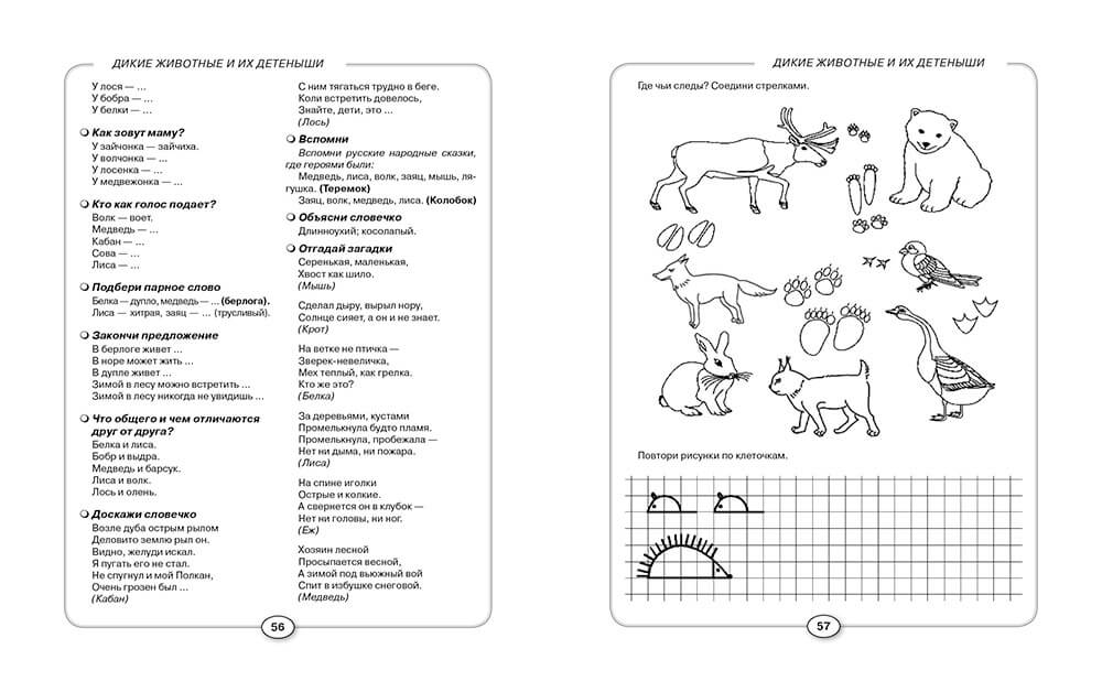 Развитие речи и познавательных способностей дошкольников 6-7 лет