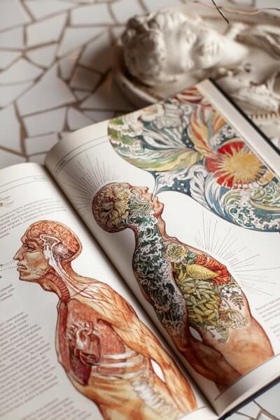 The Book. Как создать цивилизацию заново