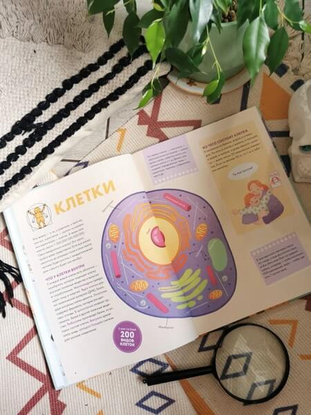 Твоё тело. Как оно работает и меняется