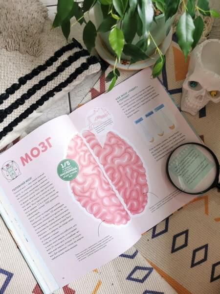 Твоё тело. Как оно работает и меняется