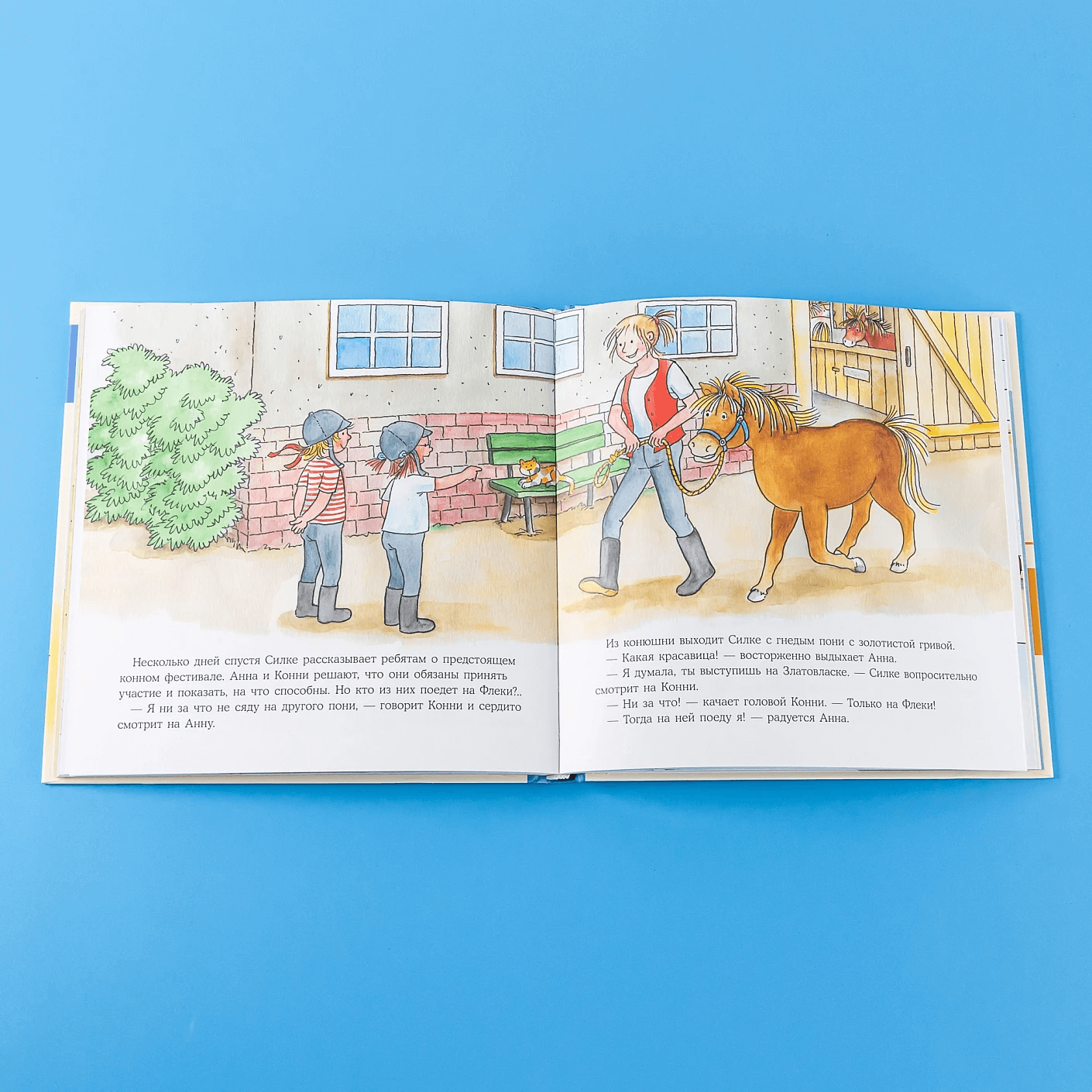 Большая книга приключений Конни. Хобби