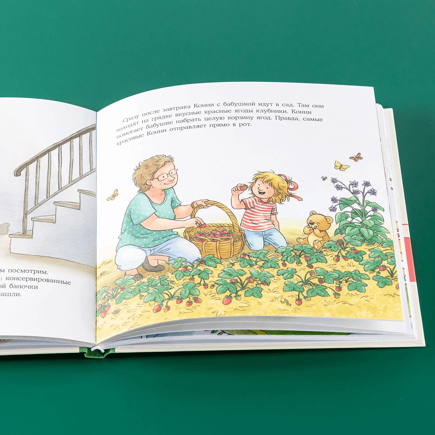 Большая книга приключений Конни. Семья