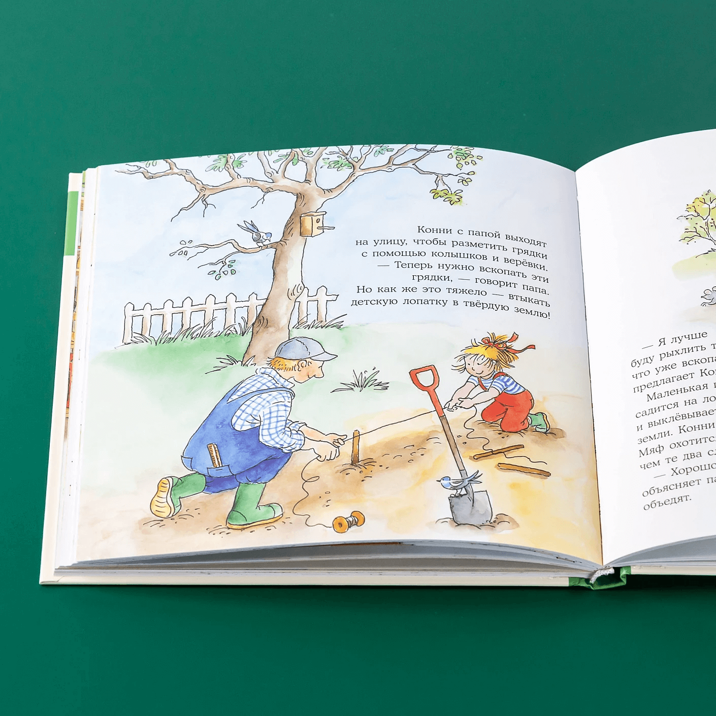 Большая книга приключений Конни. Семья