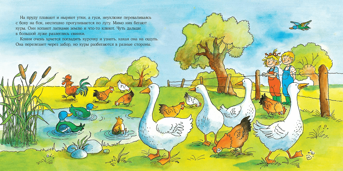 Большая книга приключений Конни. Животные