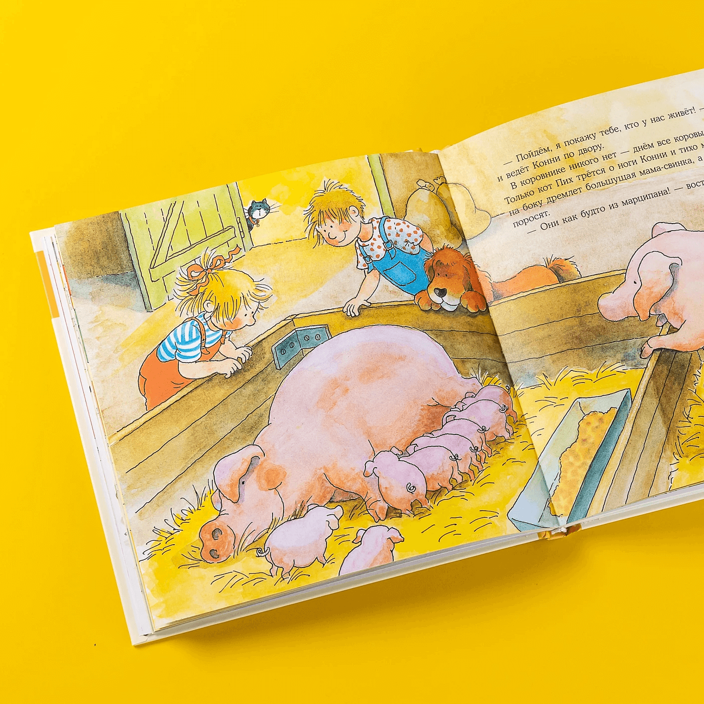 Большая книга приключений Конни. Животные