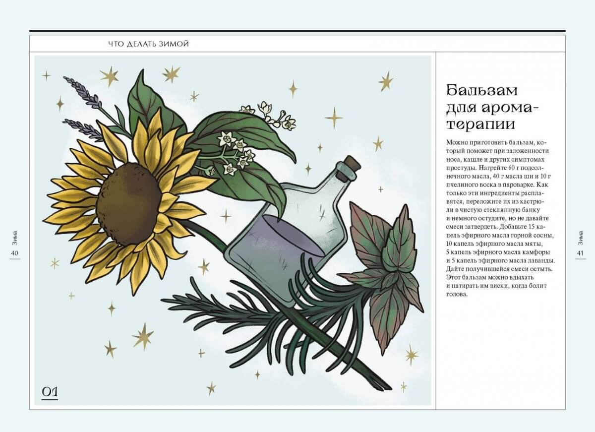 Четыре сезона волшебства. Тайные послания и рецепты, нашёптанные лесом