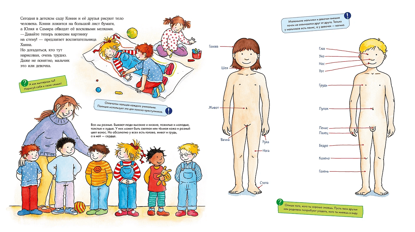 Конни изучает тело