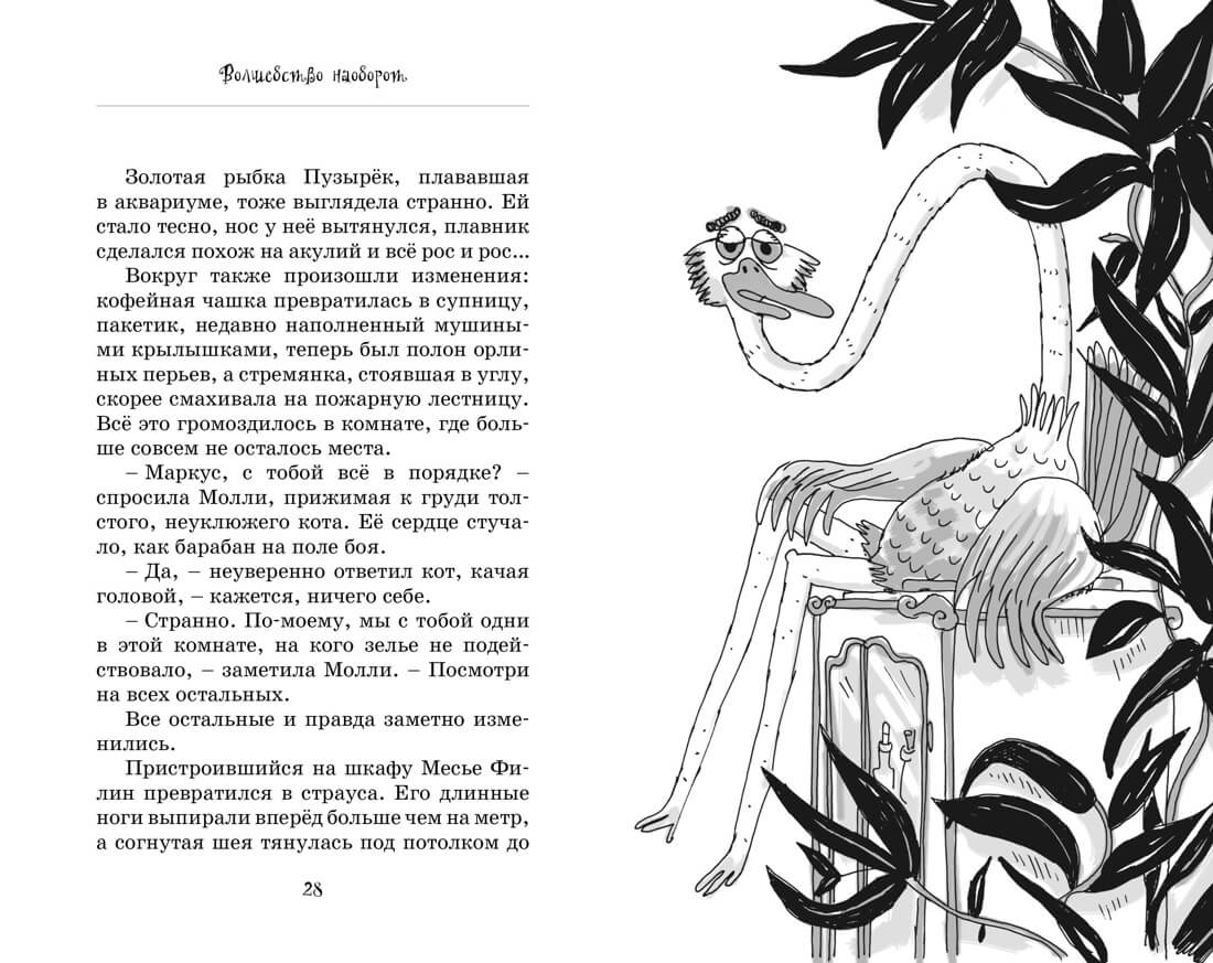 Кот колдуньи Молли. Волшебство наоборот