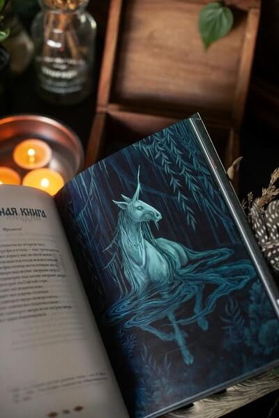 Монстры и волшебные существа: русские сказки и европейские мифы с иллюстрациями Аны Награни