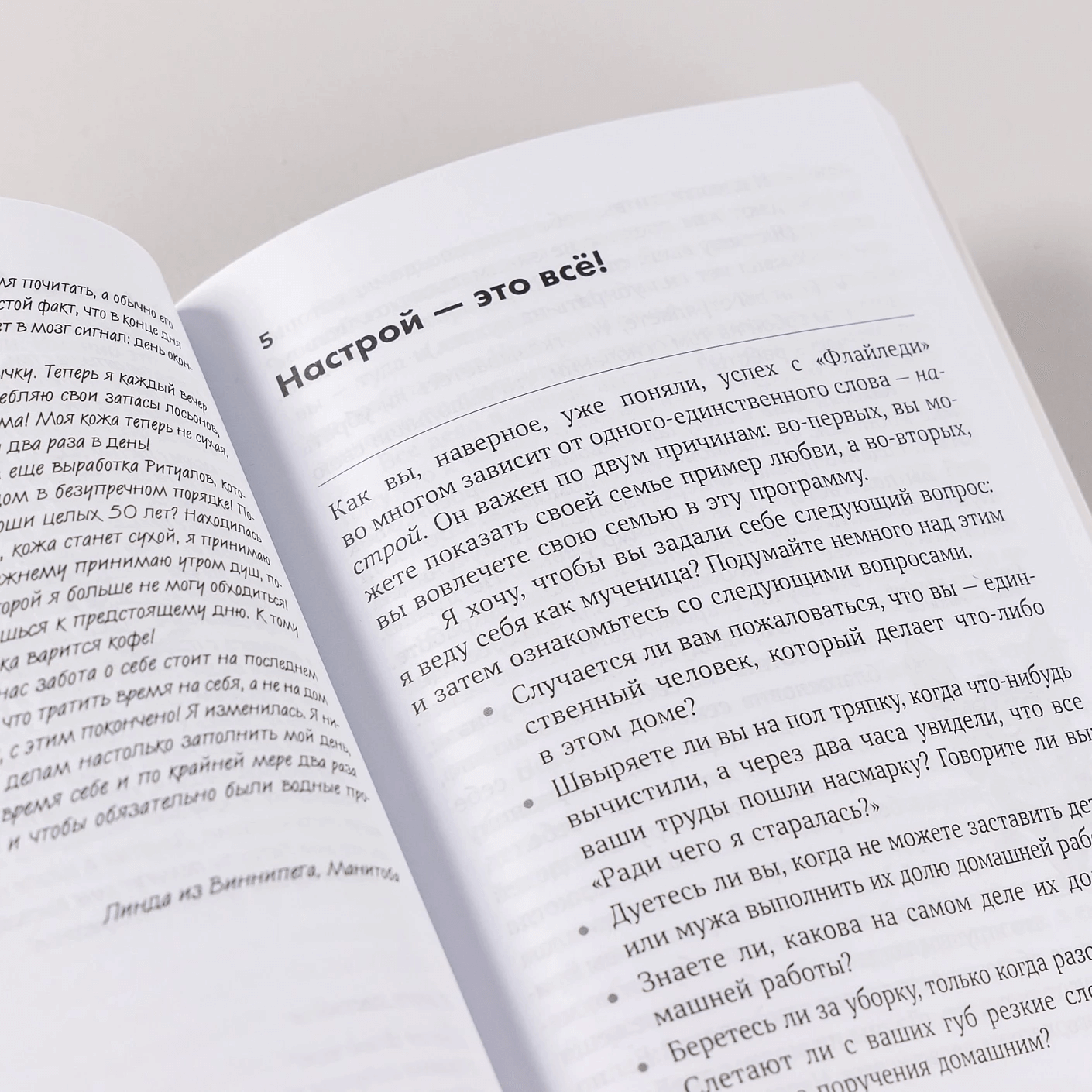 Школа Флайледи: Как навести порядок в доме и в жизни