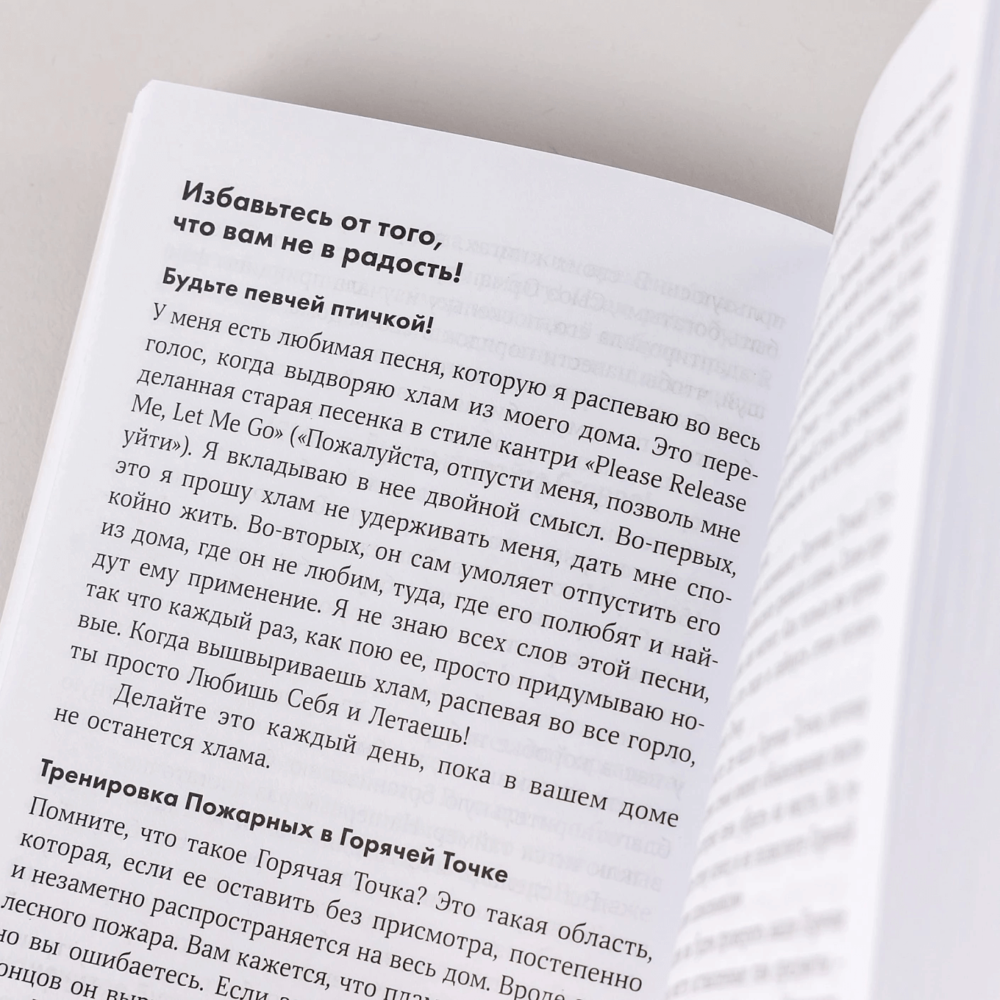 Школа Флайледи: Как навести порядок в доме и в жизни