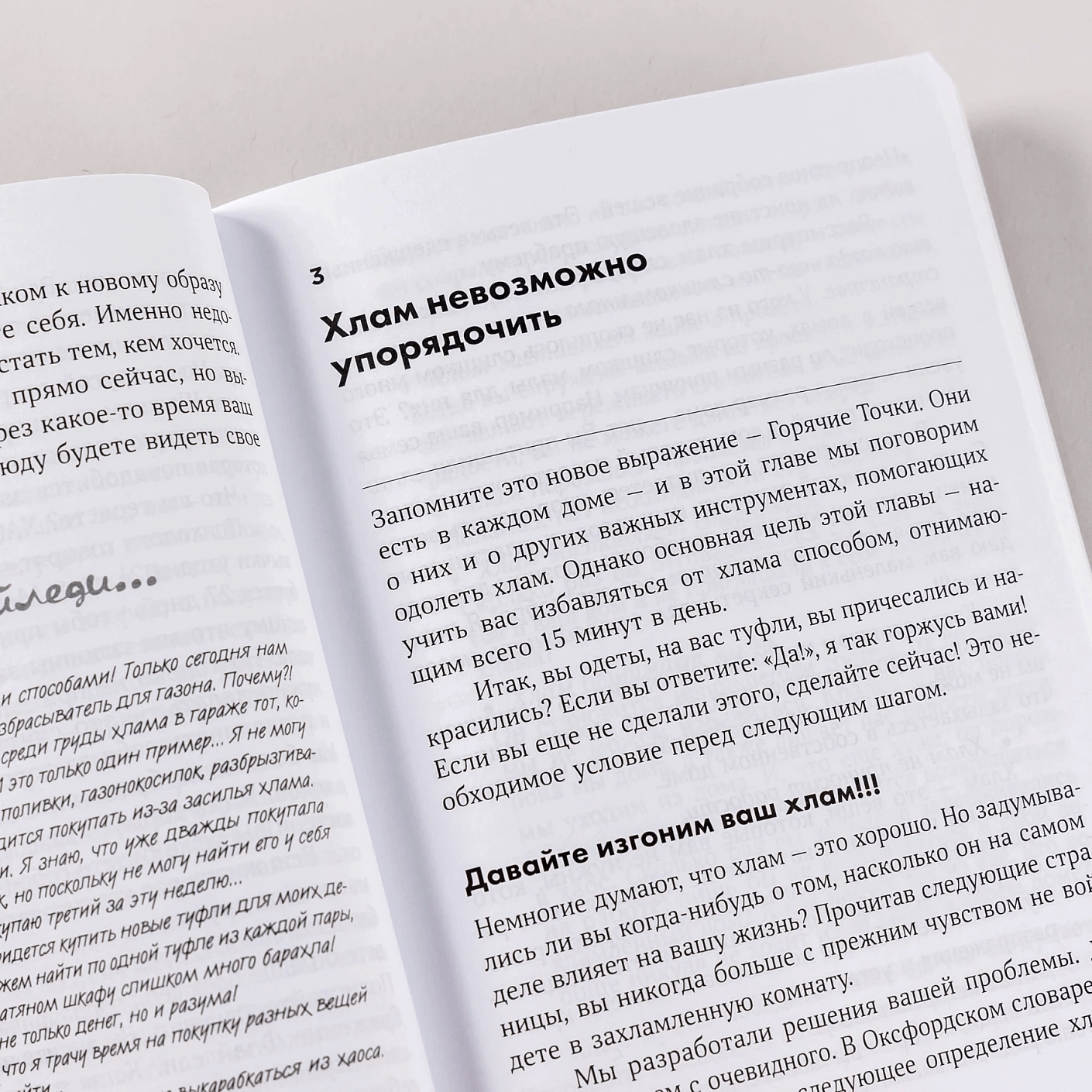 Школа Флайледи: Как навести порядок в доме и в жизни