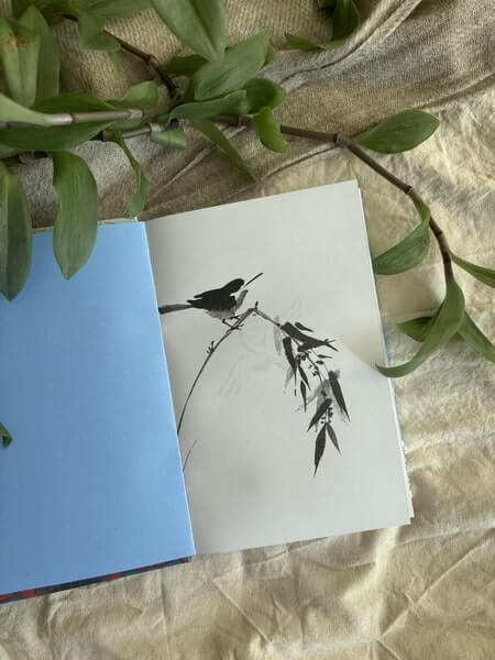 Сказки Японии. Горная ведьма, жена-лисица, Кагуя-химэ и мальчик, который рисовал кошек