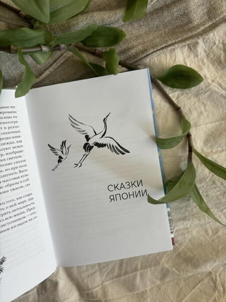 Сказки Японии. Горная ведьма, жена-лисица, Кагуя-химэ и мальчик, который рисовал кошек