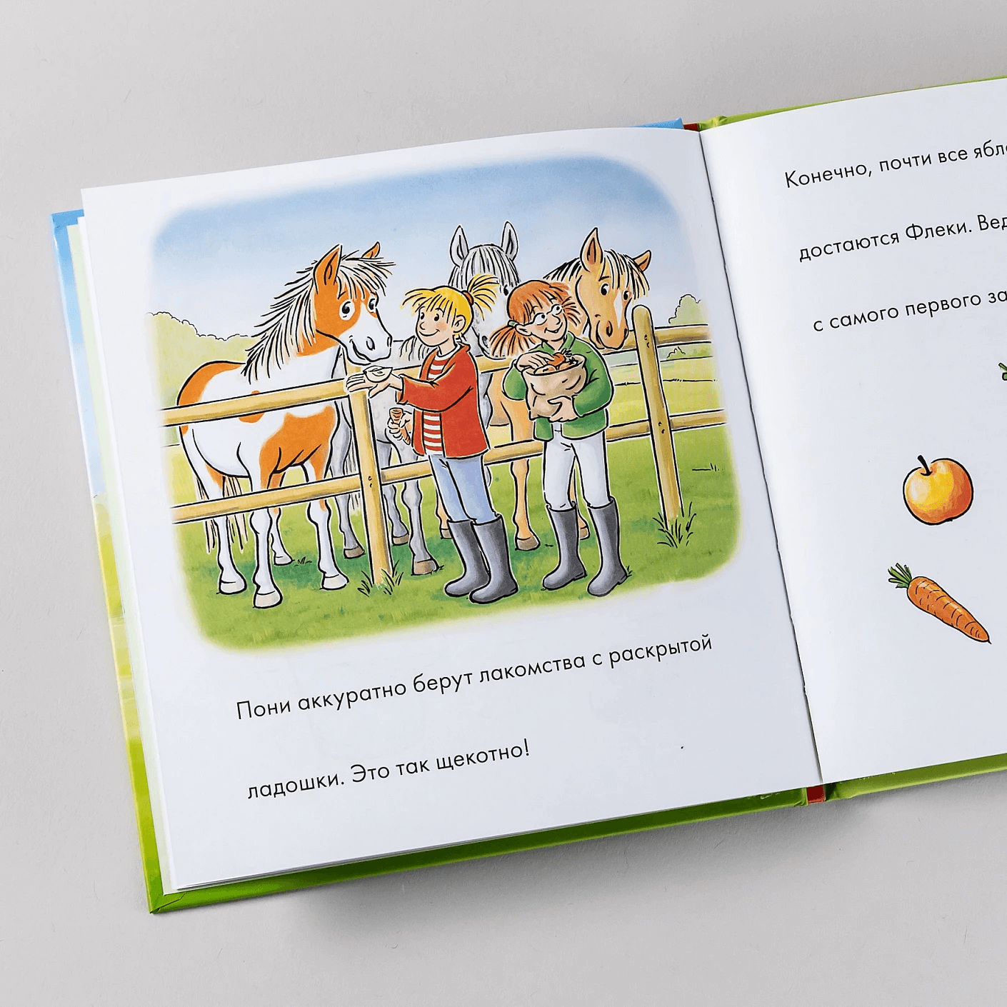 Учусь читать с Конни: Любимая пони Флеки