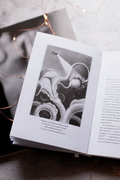 VAGINA OBSCURA. Анатомическое путешествие по женскому телу