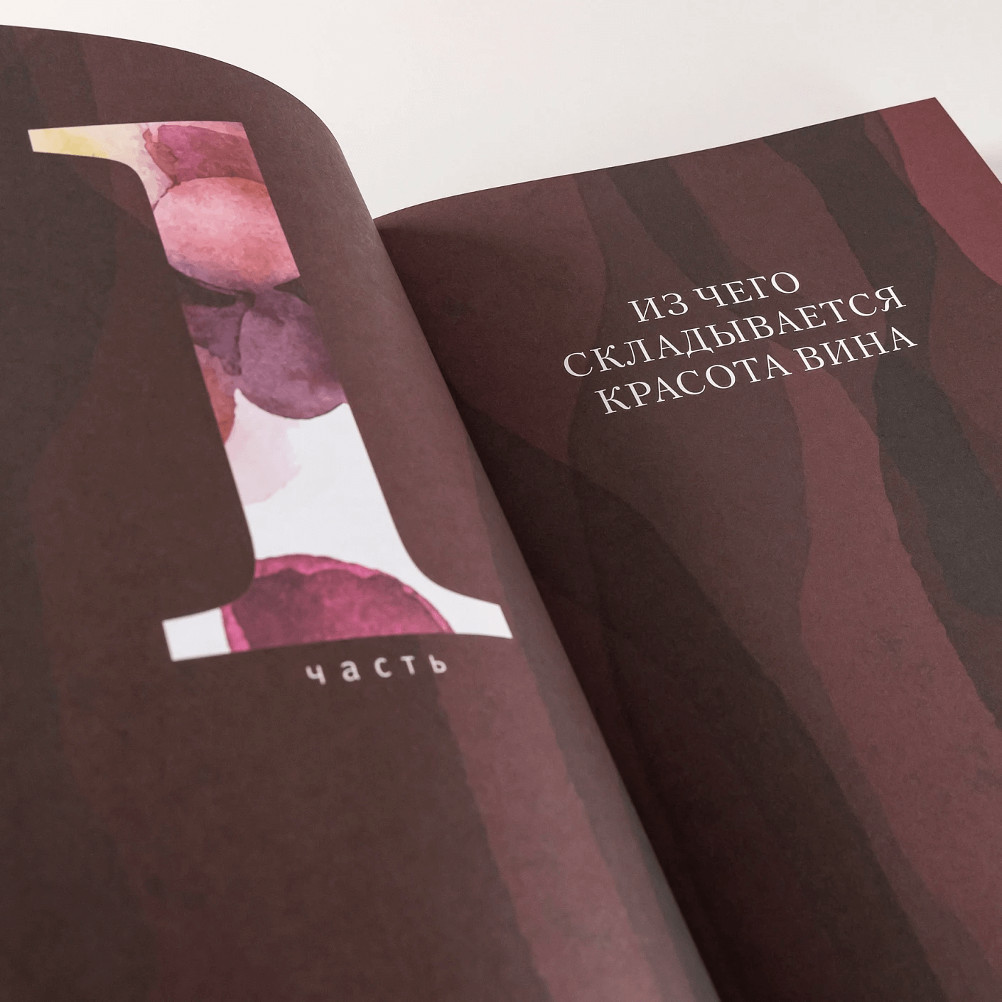 Винология : Записки профессионального гурмана о лучшем из напитков и культуре его потребления