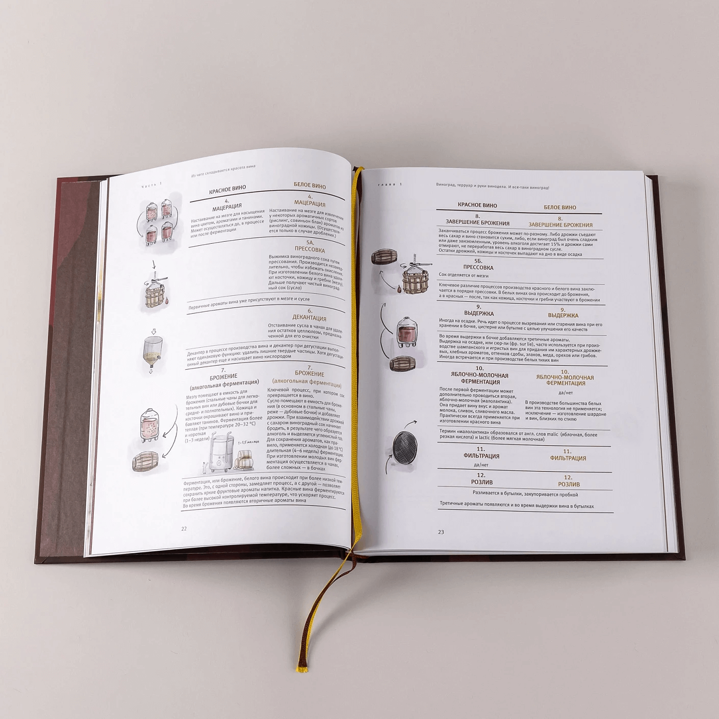 Винология : Записки профессионального гурмана о лучшем из напитков и культуре его потребления