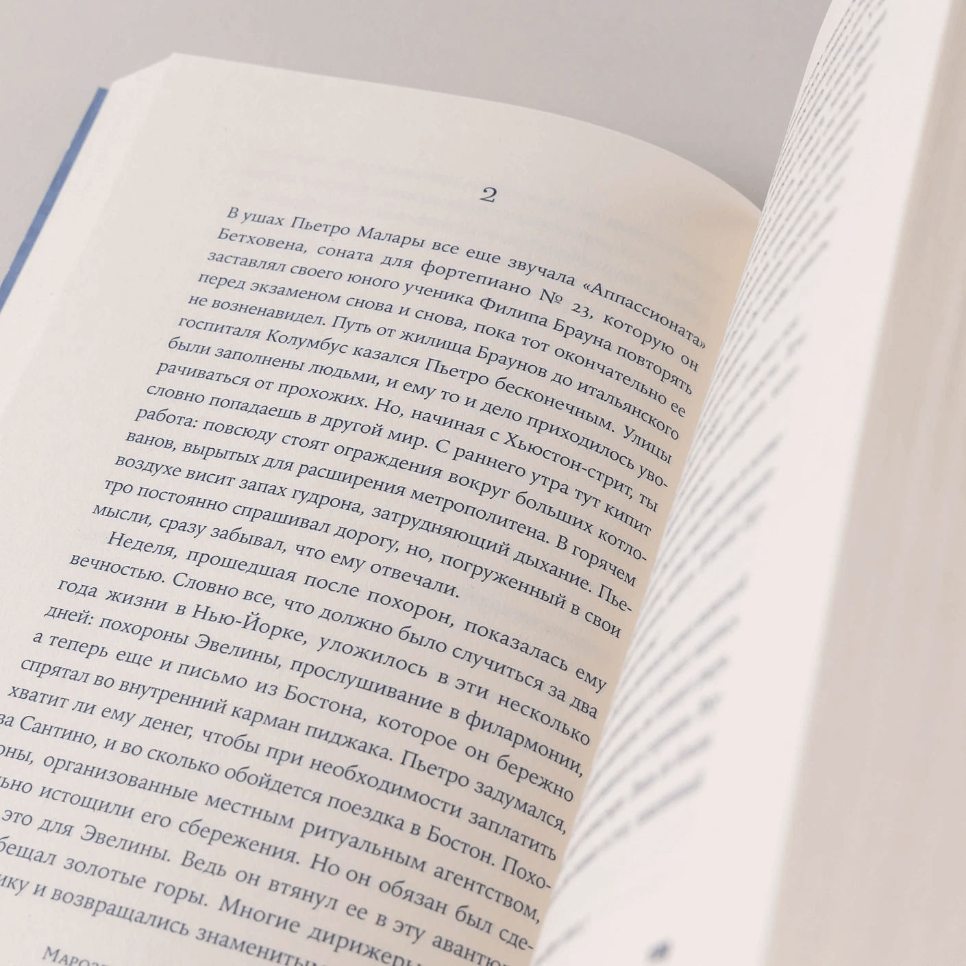 Женщина, которая жила у моря