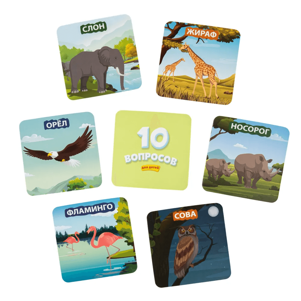 10 вопросов для детей. Животный мир