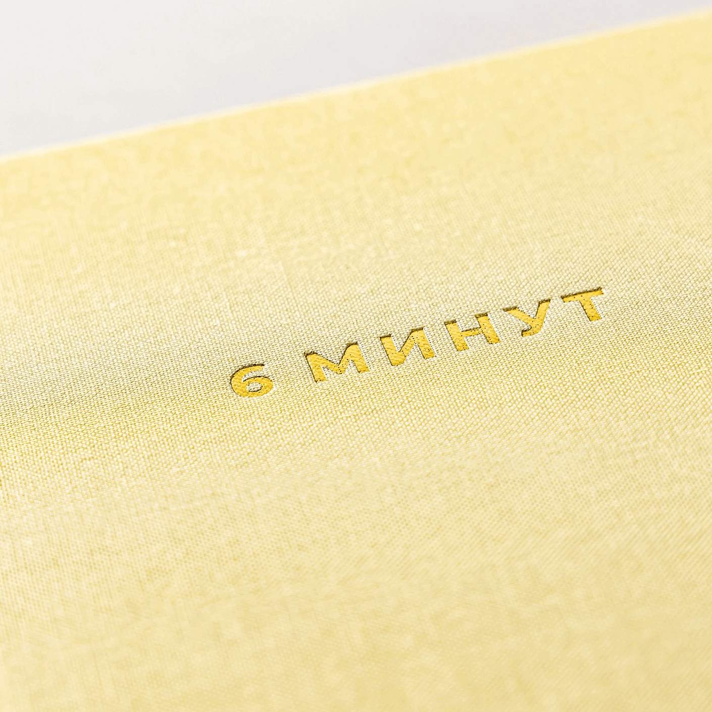 6 минут. Ежедневник, который изменит вашу жизнь (лимонад)