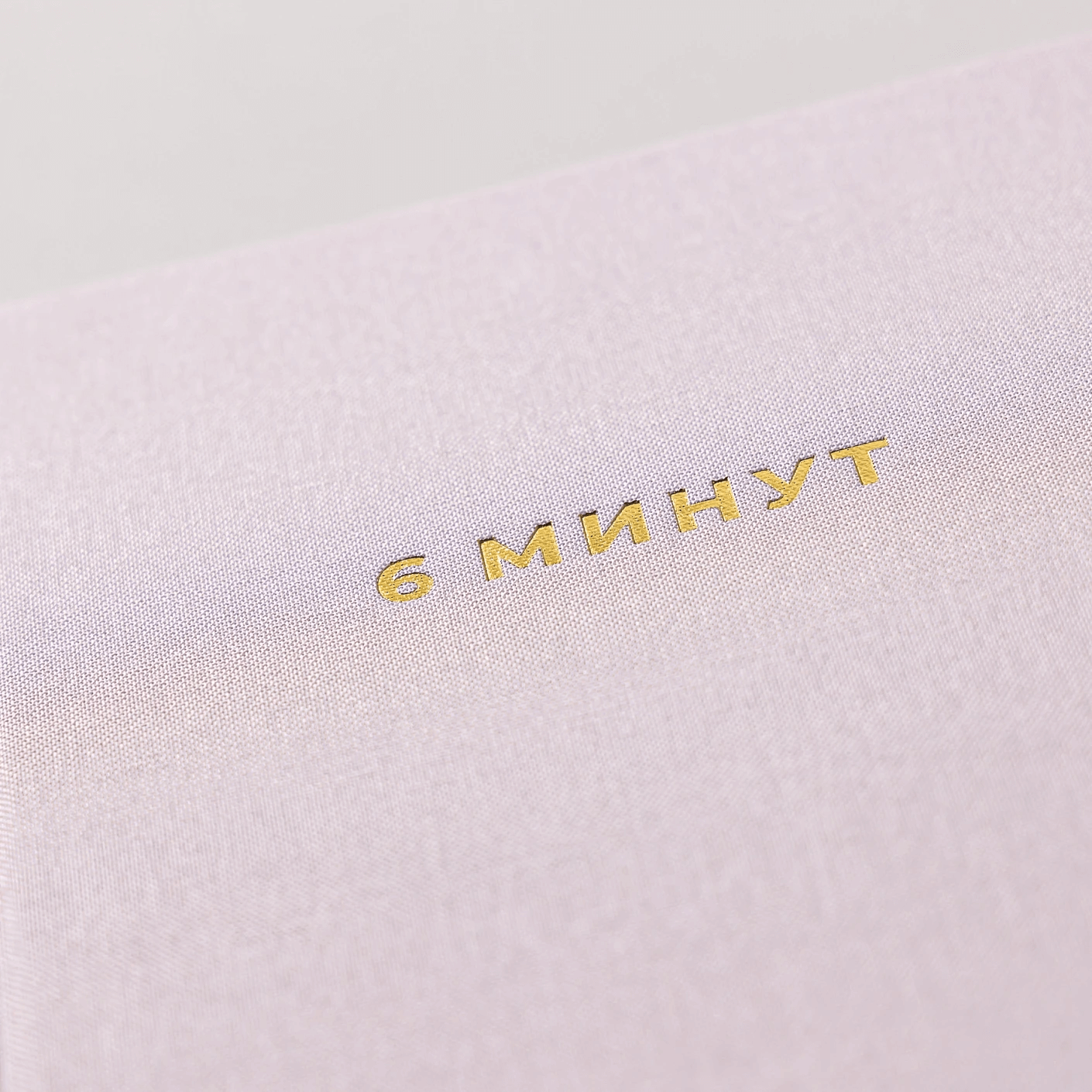 6 минут. Ежедневник, который изменит вашу жизнь (пудра)