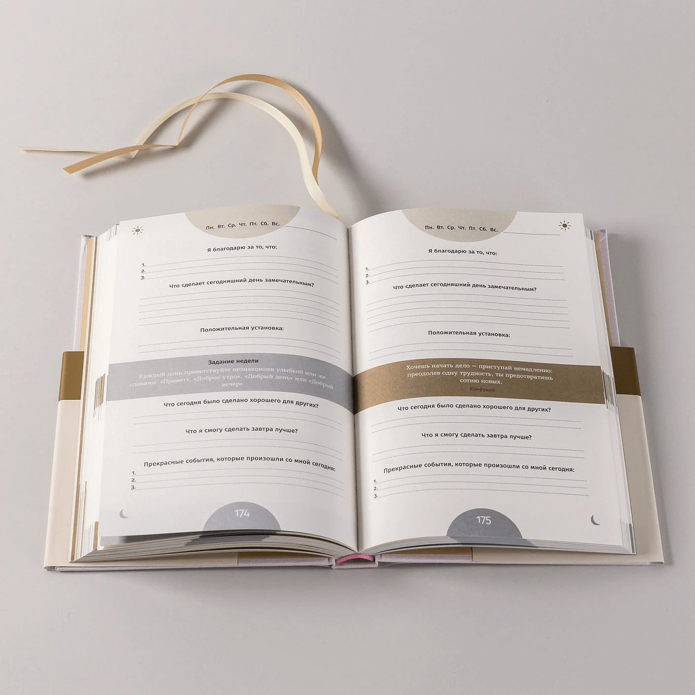 6 минут. Ежедневник, который изменит вашу жизнь (пудра)