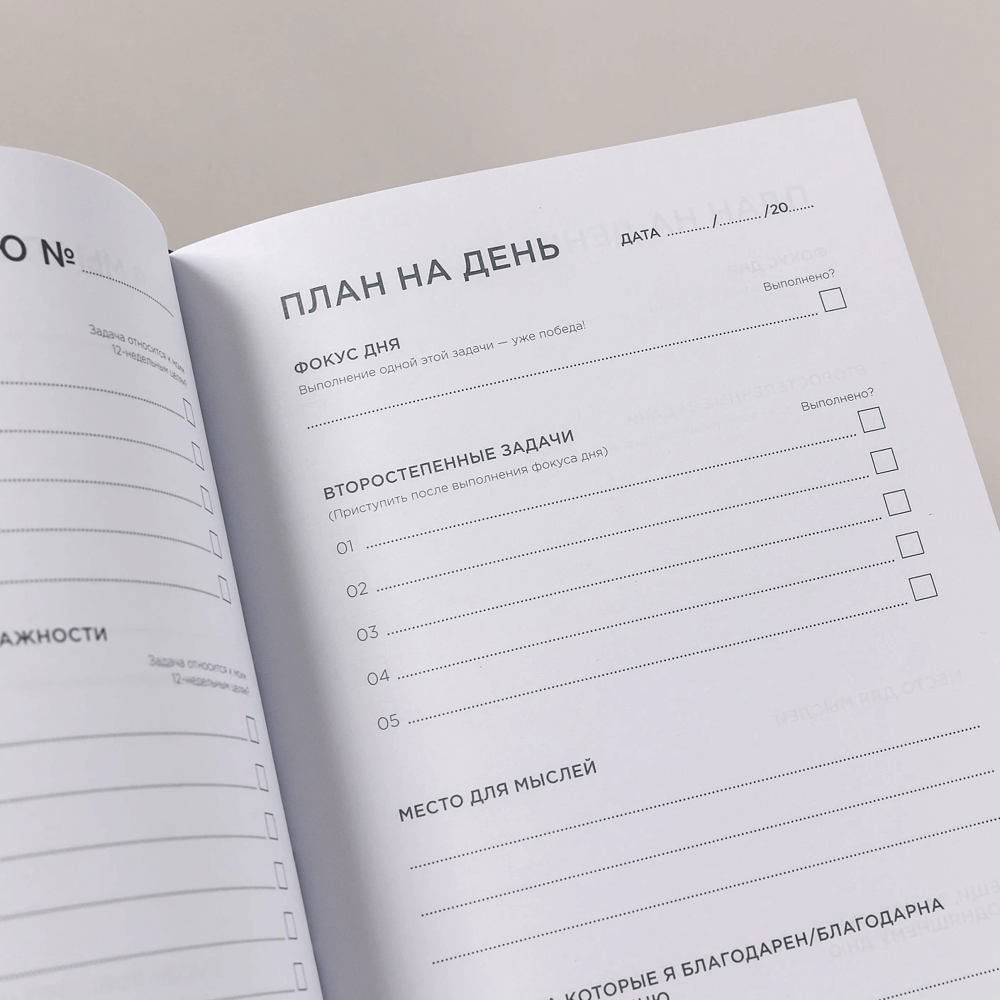 Дневник эффективности (синий)