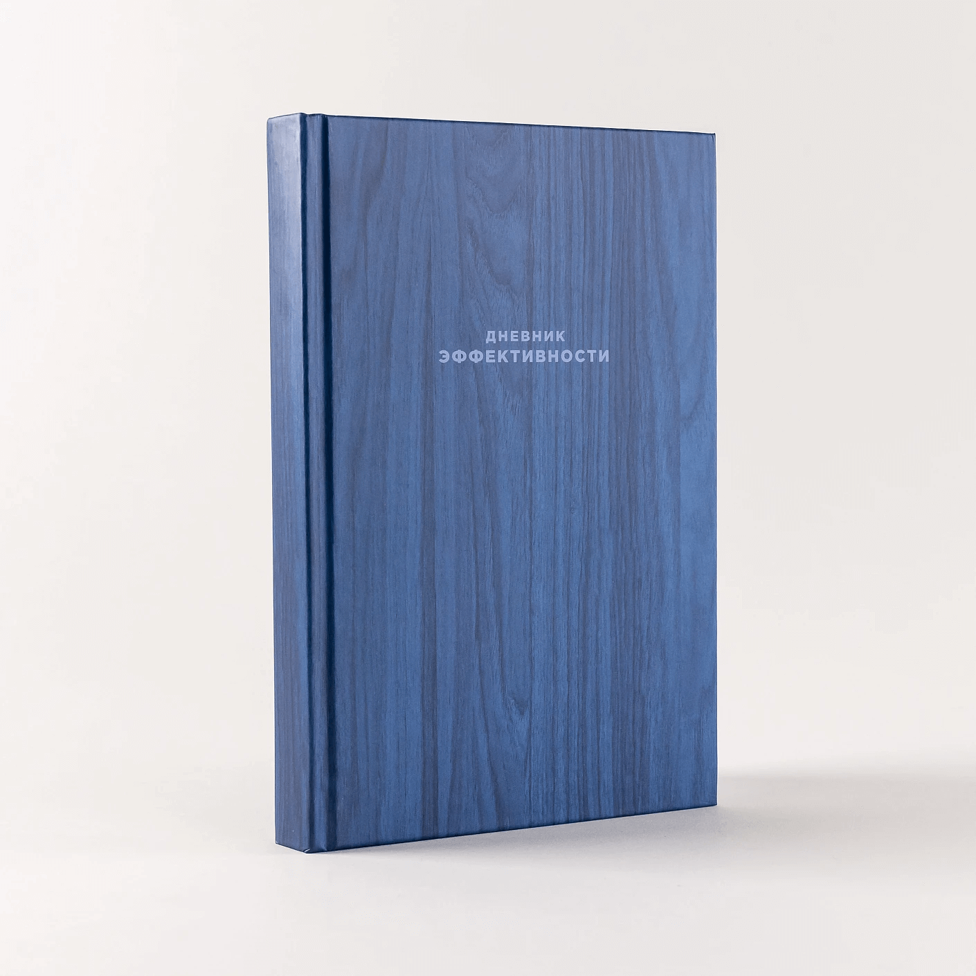 Дневник эффективности (синий)