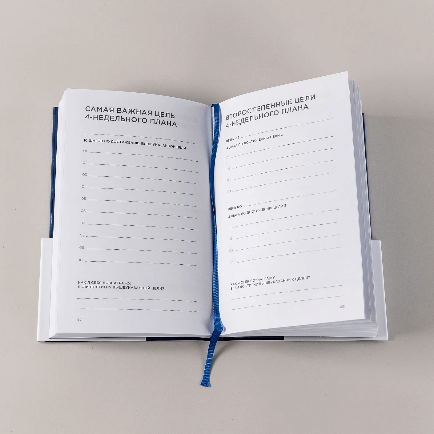 Дневник эффективности (синий)