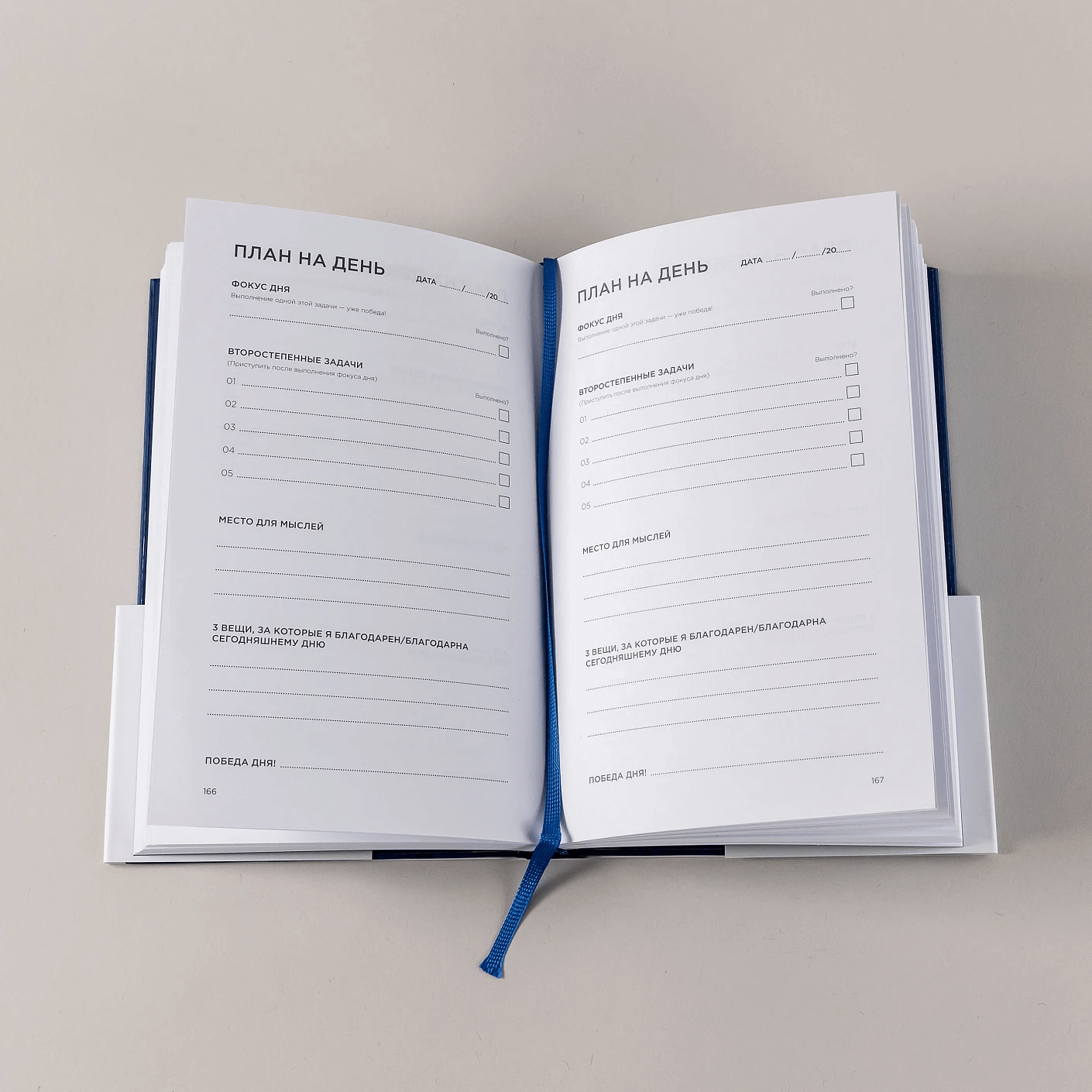 Дневник эффективности (синий)