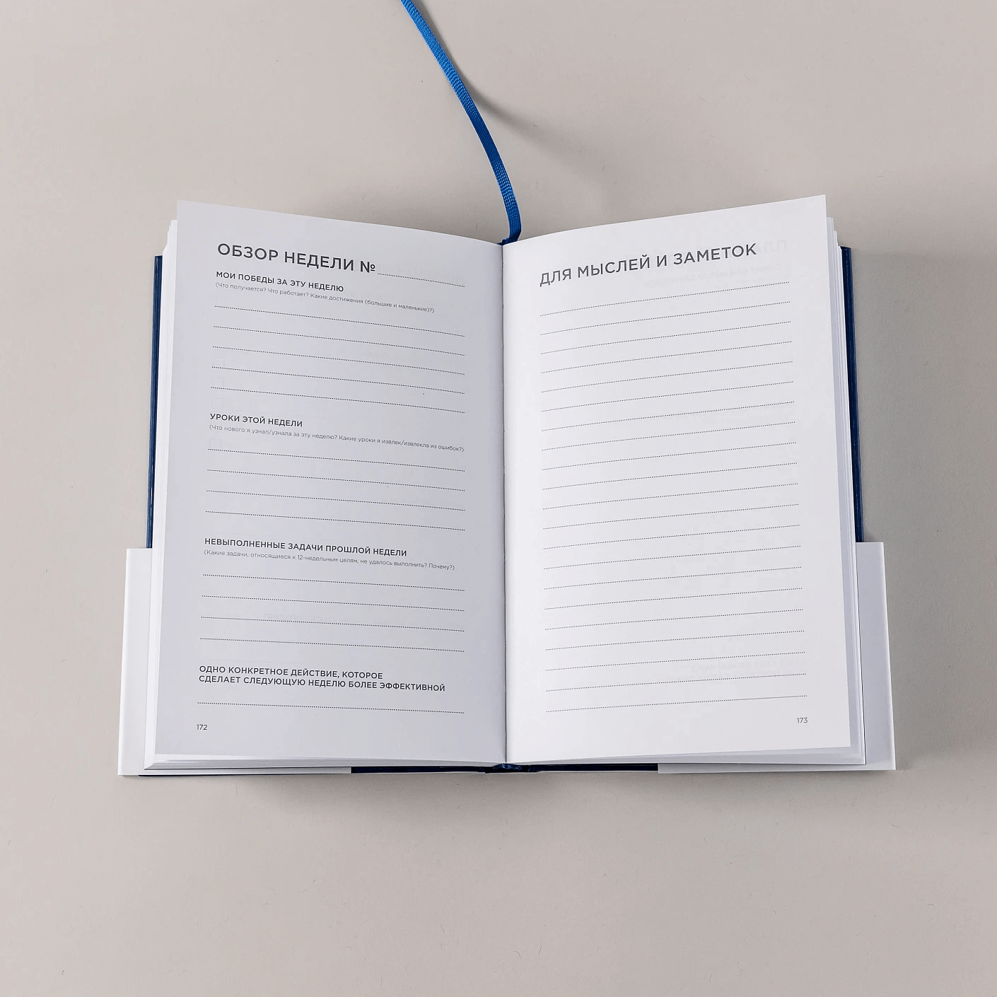 Дневник эффективности (синий)